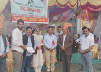घुमारवीं ग्रीष्मोत्सव में डॉग शो का शानदार आयोजन, विभिन्न नस्लों के कुत्तों ने दिखाई प्रतिभा