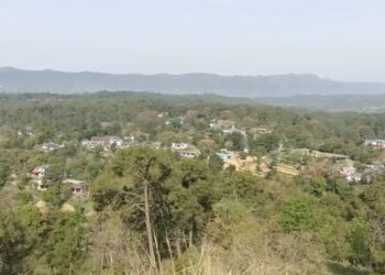 हमीरपुर पुलिस की बड़ी कार्रवाई: विकास नगर से चोरी हुई भैंस यूपी के सहारनपुर से बरामद, दो शातिर चोर गिरफ्तार