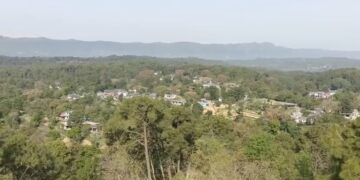 हमीरपुर पुलिस की बड़ी कार्रवाई: विकास नगर से चोरी हुई भैंस यूपी के सहारनपुर से बरामद, दो शातिर चोर गिरफ्तार