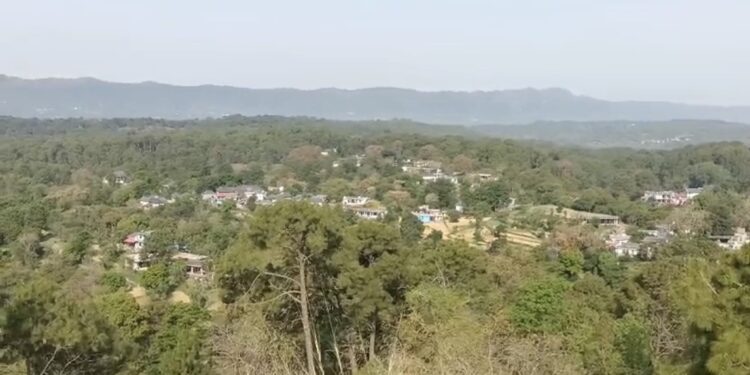 हमीरपुर पुलिस की बड़ी कार्रवाई: विकास नगर से चोरी हुई भैंस यूपी के सहारनपुर से बरामद, दो शातिर चोर गिरफ्तार