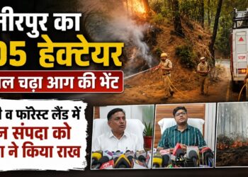 हमीरपुर में भीषण गर्मी का तांडव, 105 हेक्टेयर जंगल जलकर खाक, वन विभाग ने रद्द कीं छुट्टियां और आग लगाने वालों पर होगी FIR