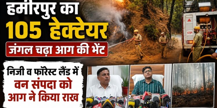 हमीरपुर में भीषण गर्मी का तांडव, 105 हेक्टेयर जंगल जलकर खाक, वन विभाग ने रद्द कीं छुट्टियां और आग लगाने वालों पर होगी FIR