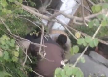 मनाली के जोगनी फॉल में बड़ा हादसा: पैर फिसलने से नाले में गिरा हरियाणा का युवक, संयुक्त टीम ने किया सुरक्षित रेस्क्यू