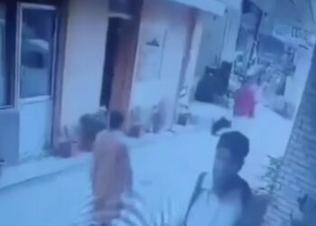मनाली में विदेशी महिला पर्यटक से अभद्रता का वीडियो वायरल, एसडीएम ने दिए निष्पक्ष जांच के आदेश